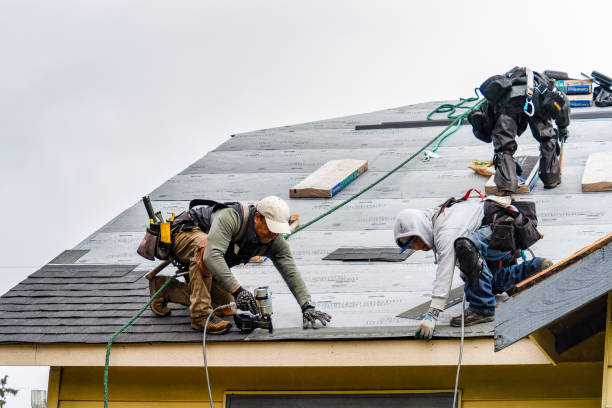 Professional Roofing technician working in Haswell, CO